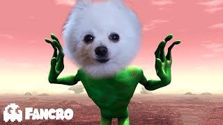 Dame Tu Cosita Cover Animales [upl. by Lauren]