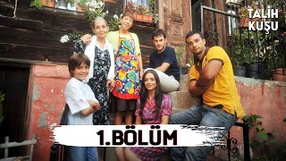 Talih Kuşu 1 Bölüm [upl. by Earley]