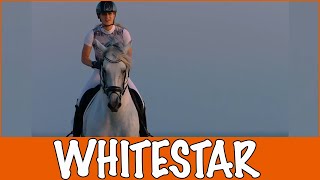 WHITESTAR  TO THE STARS Kimberly Fransens  PaardenpraatTV [upl. by Doxia]