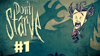 Dont Starve  Gameplay Walkthrough Part 1  Lets Play PC [upl. by Einahpets]