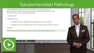 Tubulointerstitial Pathology – NephrologyFoundations  Lecturio [upl. by Ahtram]