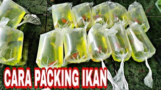 CARA PACKING IKAN HIASPART 2 [upl. by Greenfield]