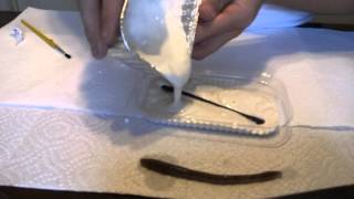 How To Make A Mold With Plaster Of Paris [upl. by Nnylyam]