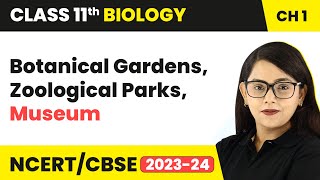 Botanical Gardens Zoological Parks Museum  The Living World  Class 11 Biology Ch 1  NCERTCBSE [upl. by Emmey]