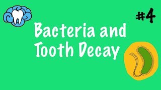 Bacteria and Tooth Decay [upl. by Hauge]