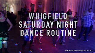 Remember the 1990s Whigfield Saturday Night Dance Routine [upl. by Galliett]