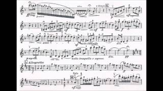 Seitz Friedrich Student Concerto No4 Op15 for violin  piano [upl. by Sirehc]