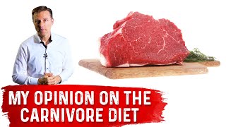 Dr Bergs Opinion on Carnivore Diet [upl. by Ynnoj]