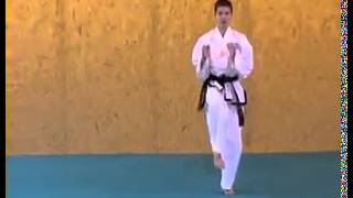 ITF Taekwon Do Patterns  Toi Gae [upl. by Eisoj]