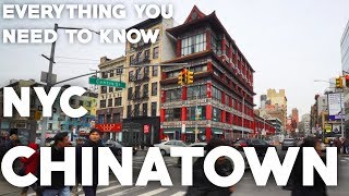 Nom Wah NYC’s Iconic Chinatown Dim Sum Parlor [upl. by Acinehs187]