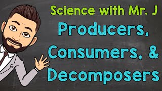 Producers Consumers and Decomposers  Ecosystems [upl. by Sandry]