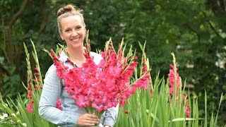 Gladiolus  How to Plant Grow Harvest and Store Gladiolus Corms Northlawn Flower Farm [upl. by Lledraw]