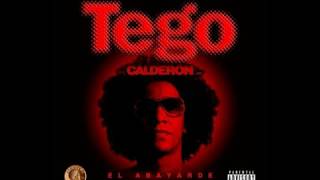 TEGO CALDERON MIX EXITOS [upl. by Haneekas]