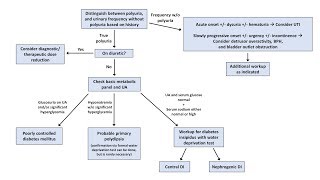 An Approach to Polyuria [upl. by Grim]