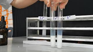 Tests for anions for IGCSE and O Level Chemistry [upl. by Alakam]