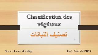 classification des végétaux 1 AC تصنيف النباتات [upl. by Siblee]