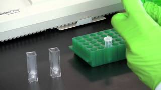 DNA Quantitation Using a Spectrophotometer [upl. by Ledarf]