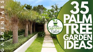 35 Palm Tree Garden Ideas [upl. by Aivull384]