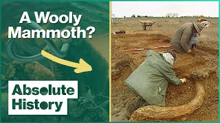 The Mammoth Buried In The British Countryside  Time Team  Absolute History [upl. by Brindle913]