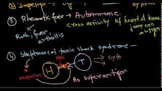 Streptococcus diseases [upl. by Dasi]