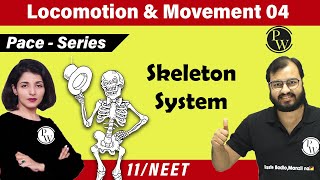 Movement and Locomotion 04  Skeleton System  Class 11  NEET  PACE SERIES [upl. by Nagad399]