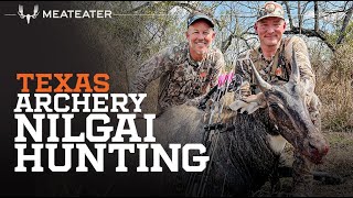 Texas Archery Nilgai  On the Hunt [upl. by Nord]