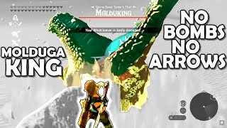 MOLDUGAKING no bombs no arrows  Breath of the Wild  Zelda BotW  Basement  S3E86 [upl. by Ttirrej]