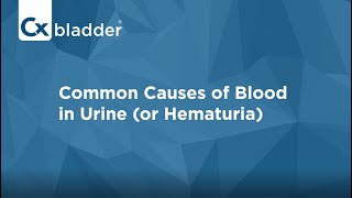 What Causes Blood in Urine  Cxbladder [upl. by Atilamrac]