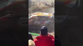 Montecarlo 25 Big Crash [upl. by Servais]