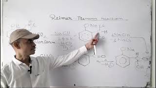 Reimer Tiemann Reaction [upl. by Rizas]