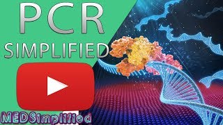 PCR  Polymerase Chain Reaction Simplified [upl. by Shadow]