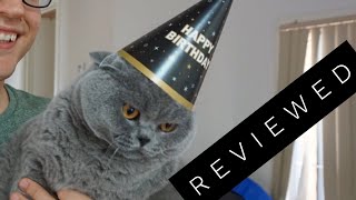 Basil the British Shorthair Cat Review after 3 years [upl. by Tamma]