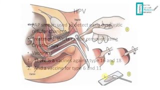 STDs Overview [upl. by Screens]