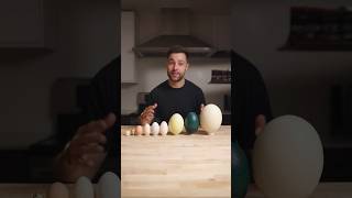 I Cooked the World’s CRAZIEST Eggs [upl. by Deryl]