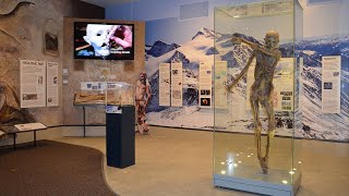 Museum Tour Ötzi the Iceman [upl. by Ehctav828]