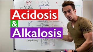 Acidosis and Alkalosis MADE EASY [upl. by Rubin709]