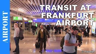 TRANSIT WALK AT FRANKFURT Airport FRA Terminal 1  Connection Flight Transfer Arriving amp Departing [upl. by Anitteb]