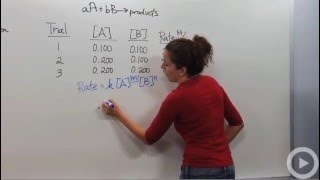 Reaction Rate Laws [upl. by Nerraf]