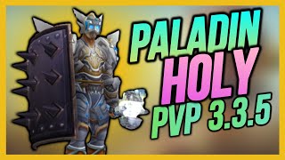 HOLY PALADIN 335 PVP  BEGINNER GUIDE WARMANE WOTLK Classic GearTalentsMacrosTipsArena 2022 [upl. by Adnirod659]