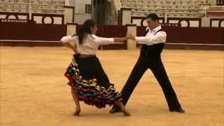 Lets Dance  Paso Doble [upl. by Bratton]