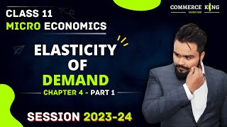 Elasticity of Demand class 11  Price elasticity of demand  MICROECONOMICS CHAPTER 4 [upl. by Bone]