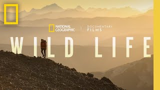 Wild Life  Official Trailer  National Geographic [upl. by Sapphera977]