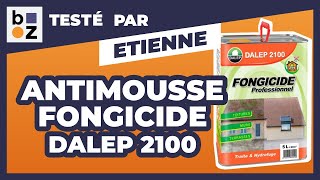 Antimousse fongicide professionnel Dalep 2100  Test et Avis [upl. by Tobi]