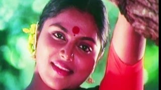 Aavaram Poovu  S P Balasubrahmanyam P Susheela  Saritha  Achamillai Achamillai Tamil Song [upl. by Ecila591]