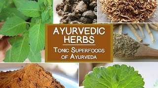 Ayurvedic Herbs The Tonic Superfoods of Ayurveda [upl. by Euqitsym]