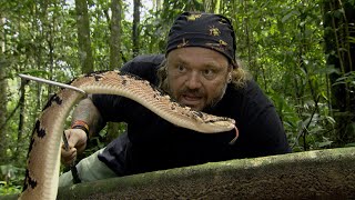 A SERPENTE MAIS TEMIDA DA AMAZÔNIA  RICHARD RASMUSSEN [upl. by Love]