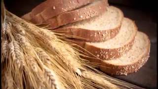 Growing Heritage Wheat at home Part 1 [upl. by Borchert]