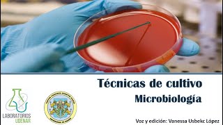 Técnicas de siembra Microbiología [upl. by Danzig936]